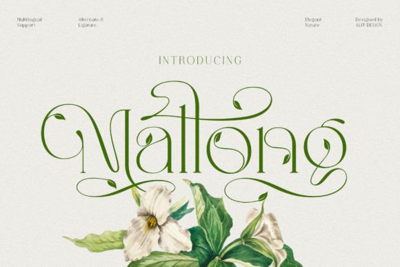 Mallong: Where Elegance Meets Organic Warmth in Typography