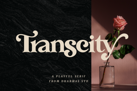 Transcity: A Bold and Elegant Serif Font for Modern Design