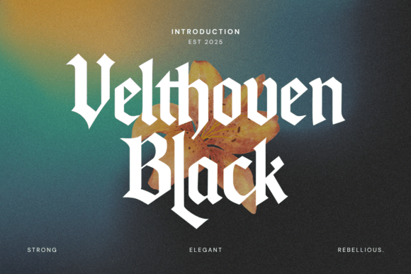Velthoven Black: A Bold Fusion of Tradition and Modernity in Typography